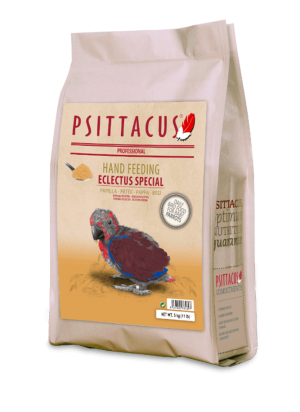 Psittacus Eclectus Special Hand Feeding - 1Kg & 5Kg